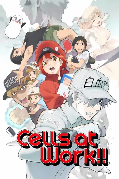 Cells at Work!